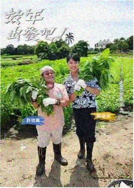 伦理综艺 道德实验室